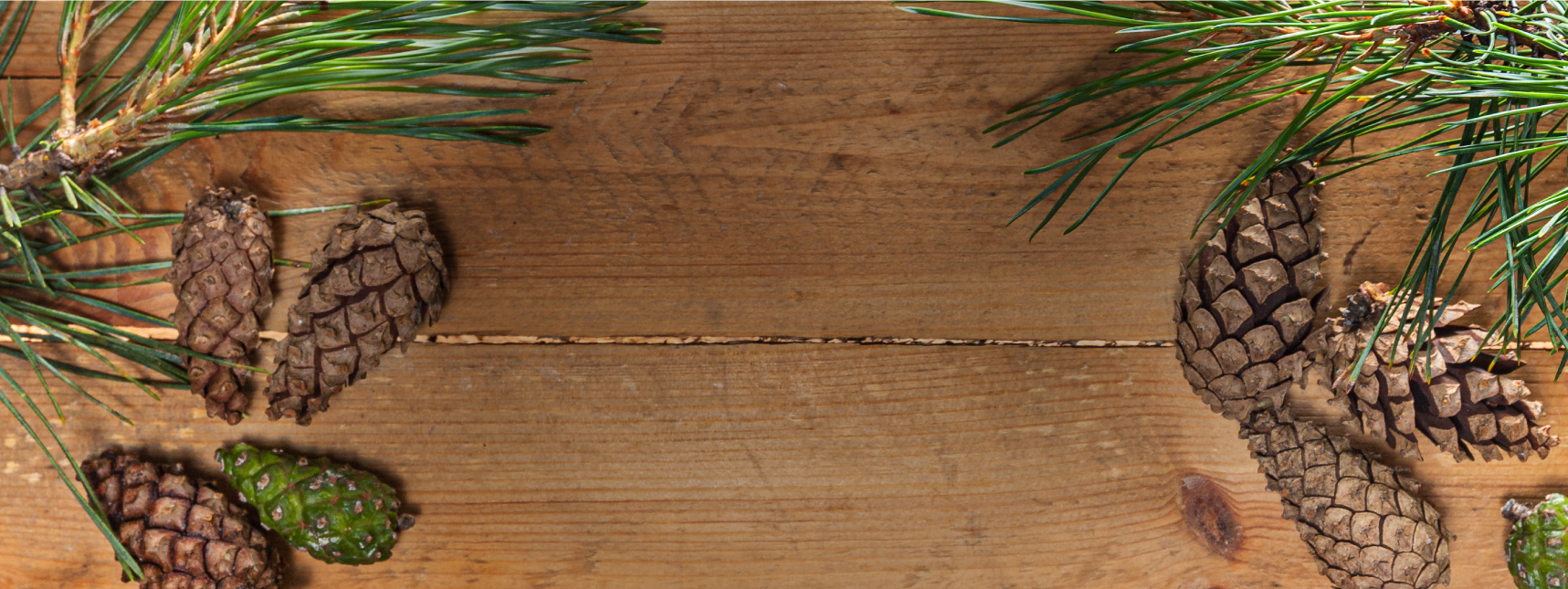 Wooden surface adorned with pinecones and green pine branches, creating a rustic, natural holiday theme.