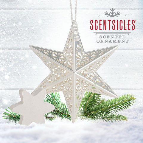 Scented Decorative Ornament, White Winter Fir, Metal White Star, Refillable with Star-Shaped Scents, Refills Sold Separately