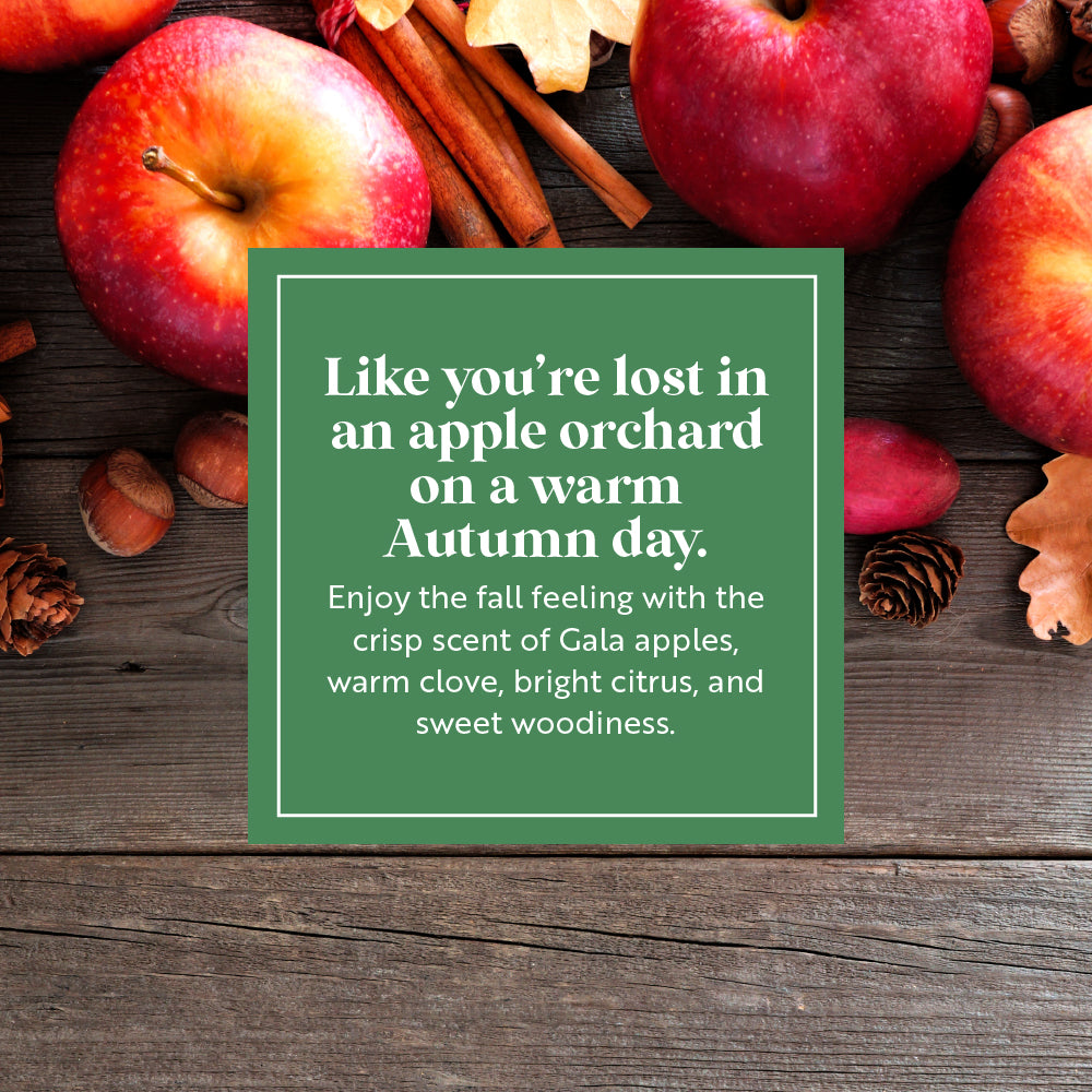 Image showcasing a rustic wooden table adorned with fresh apples, cinnamon sticks, and other fall elements. The text overlay captures the essence of the season: 'Like you're lost in an apple orchard on a warm Autumn day. Enjoy the fall feeling with the crisp scent of Gala apples, warm clove, bright citrus, and sweet woodiness.