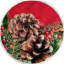 Close-up of pine cones and holly berries against a red background, framed within a circular design.