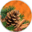 An image of a pine cone and cinnamon sticks with green pine needles, set against an orange background, framed within a circular design.