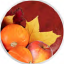 A circular image featuring a mix of oranges, apples, and autumn leaves in vibrant shades of orange, yellow, and red, set against a deep red background.