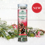 Scentsicles 'Snowberry Pine' scented ornaments packaging, displayed against a snowy pine branch background with red berries. The clear tube showcases green scented sticks and includes a red label indicating 'New.' The product name 'Snowberry Pine' is prominently featured on the label, along with a festive pinecone and berry design, emphasizing its wintery, fresh scent.